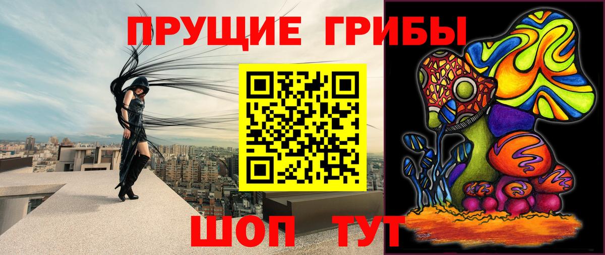 Анжеро-Судженск  Галлюциногенные грибы MAGIC MUSHROOMS  что такое   Вход с VPN 