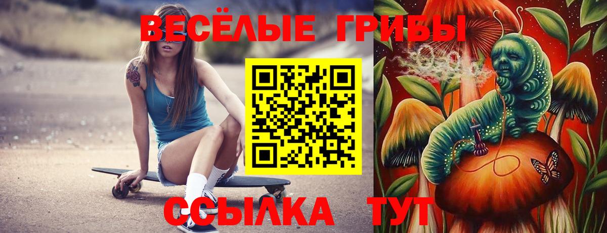 Галлюциногенные грибы мицелий Анжеро-Судженск